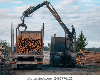 Loading logs using hydraulic machinery on logging truck.