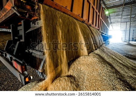 Loading process of wheat grain in elevator granary warehouse. Agro manufacturing plant equipment. Harvest time.