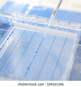 Loading A Sample Into A Gel For Electrophoresis