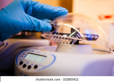 Loading Samples To Centrifuge For Separation. Part Of DNA Extraction Procedure