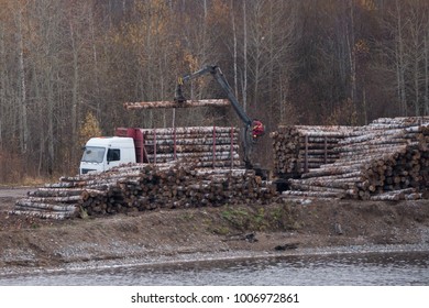 Loading of timber on railway carriages. Loader in work