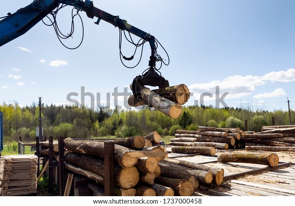 Loading, unloading wood. Transport logging and\
forest industry