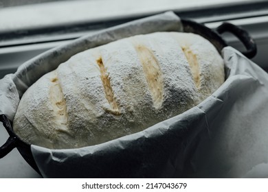 Loaf Of Proofing Bread, Raw Dough In A Proofing Bowl, Homemade Wild Yeast Bread.