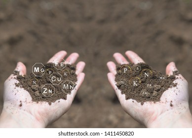 Loamy Soil In Hands Farmer With Icons About Nutrients And Elements In Soil That Are Necessary For Plant Growth.