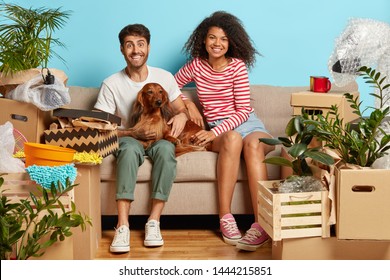 Loan And Mortgage Concept. Happy Spouse Millennial Couple Relax On Comfortable Couch In Spacious Room With Many Boxes, Rejoice Easy Delivery Service, Pose With Pedigree Dog, Have New Estate.