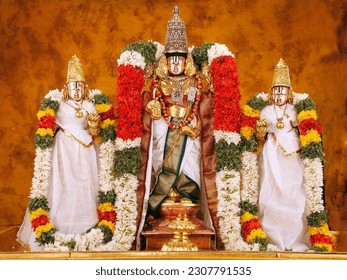Loard Sri Venkateshwara Swamy-Tirumala Tirupati Devesthanam - Shutterstock ID 2307791535