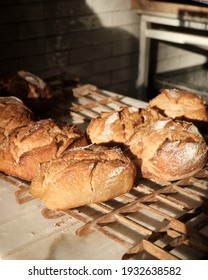 Loaves of rustic bread in a bakery with the oven in the back