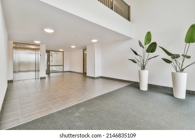 Lobby of a modern residential building with elevator and plant on a tiled floor