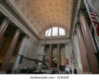 Lobby Of Natural History Museum, New York