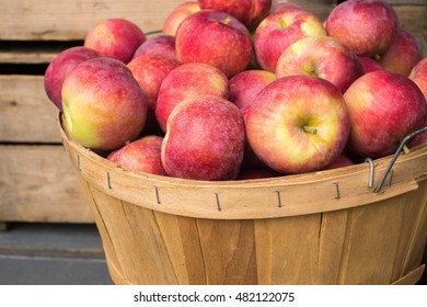 Lobo Apples In A Basket At The Market