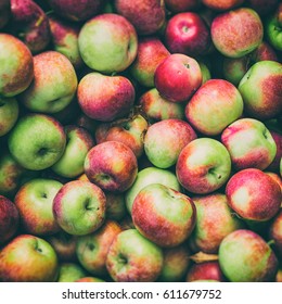 Lobo Apples At The Market With Vintage Effect