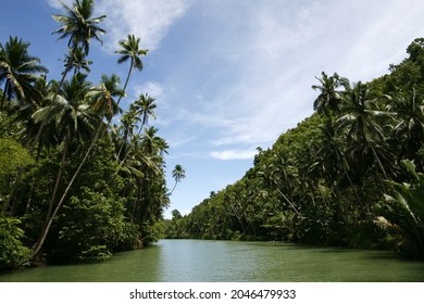 Loboc River At Bohol, Philippines