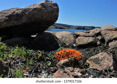 Lobster Bait Bag Washed Up Along The Rocky Shore