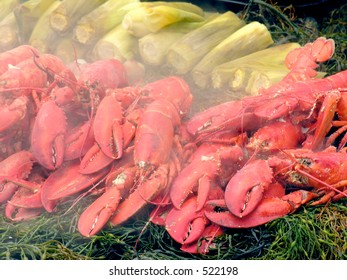 Lobster Bake