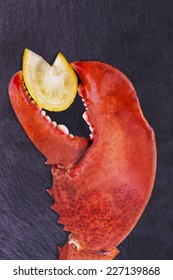 Lobster Claw