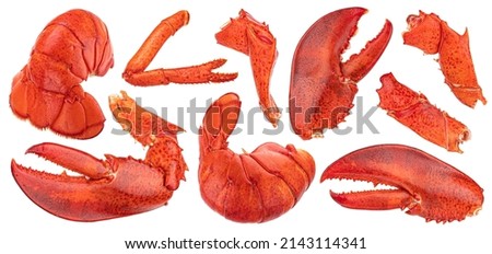 Lobster claw, tail, leg isolated on white background