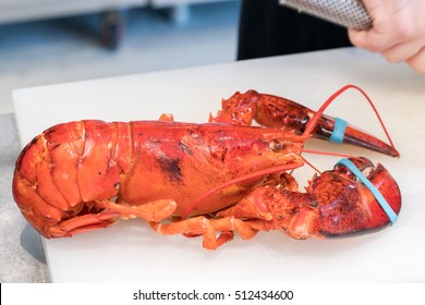 lobster in cooking
