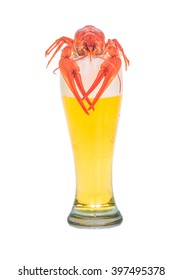 Lobster Crawls Out From A Mug With Beer