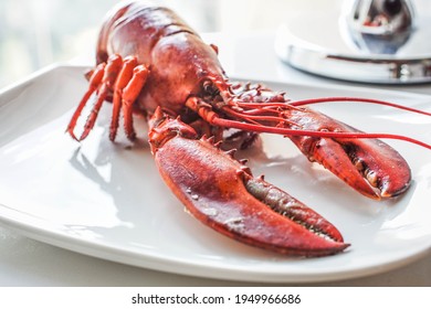 Lobster Dinner. Boiled Whole Lobster For A Seafood Dinner At A Fancy Restaurant