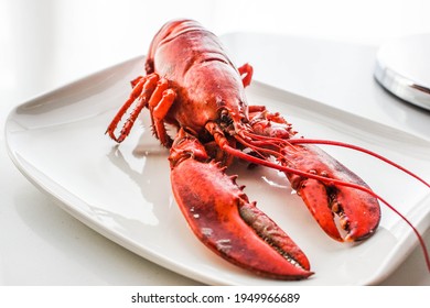 Lobster Dinner. Boiled Whole Lobster For A Seafood Dinner At A Fancy Restaurant