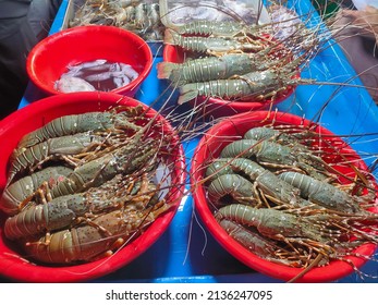 Lobster fish market at cox's bazar in bangladesh