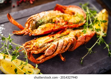 Lobster with flavored butter. Herb butter, lemon. Delicious healthy traditional food closeup served for lunch in modern gourmet cuisine restaurant.