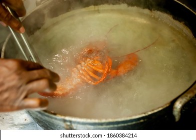 Lobster. Fresh Maine lobster being boiled in a restaurant kitchen. Classic fine dining seafood restaurant ingredient. Action shot.