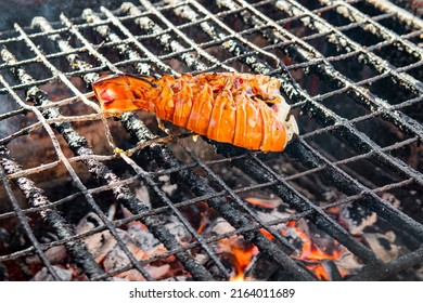 Lobster Grilled On Stove Eat With Spicy Seafood Sauce, Dinner Menu. Orange Tail Of A Lobster Sits On Burning Coals.