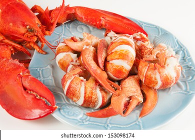 Lobster Meat