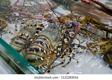 Lobster For Sale In Wet Market