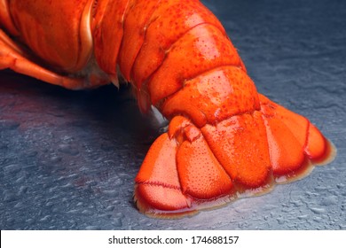 Lobster Tail