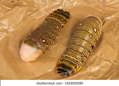 Lobster Tail Glistening In Light On Wet Shiny Butcher Paper