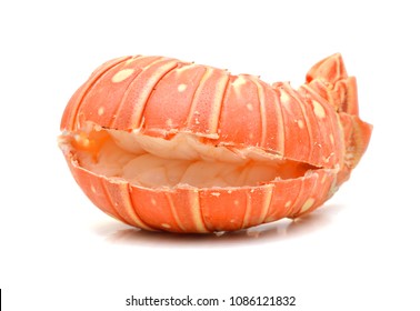 Lobster Tail Isolated 