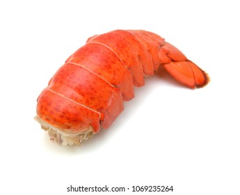 Lobster Tail Isolated On White Background