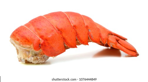 Lobster Tail Isolated On White Background