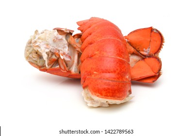 Lobster Tail Isolated On White Background