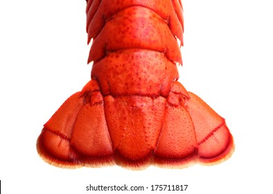 Lobster Tail On White Background