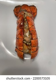 Lobster Tail On The White Plate