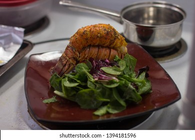 Lobster Tail Plated On Dish