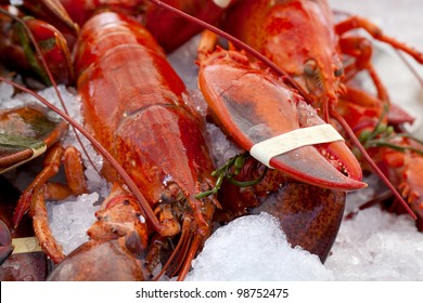 Lobsters on Ice