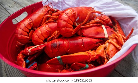 Lobsters ready for serving at a clambake