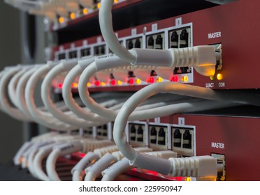 Local Area Network Switch (LAN) Ethernet Cables On Panel Borad