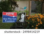 Local Cat Running For President - Political Humor