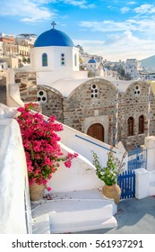 Local Church In Oia Village In Santorini, Greece, With Gorgeous Bougainvillea In Flower Pot On A Bright Sunny Day