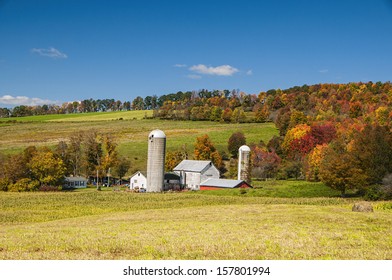 A Local Farm In Upstate NY