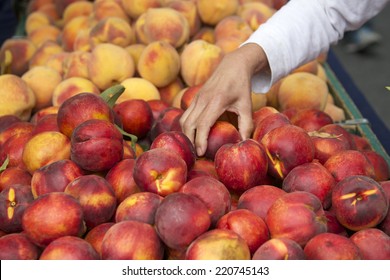 Local farmers market fresh peaches and nectarines, woman hand inspecting fruit to purchase