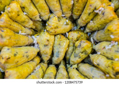 Local Fresh Zucchini Flowers Stuffed (or Stuffed Squash Blossoms).