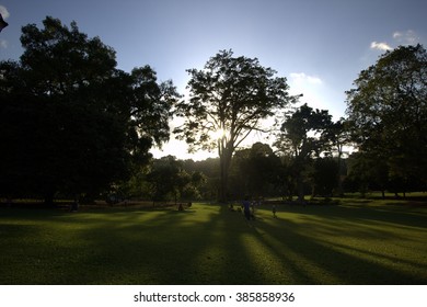 The Local Park 