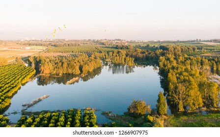 local pond in fields 