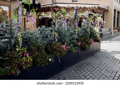 Local Restaurant Decorated With Flowers In Downtown Aspen, Colorado